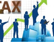 Cách xác định cơ quan thuế quản lý doanh nghiệp